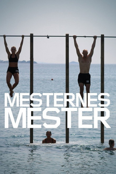 Mesternes mester