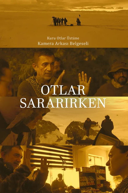 Otlar Sararırken