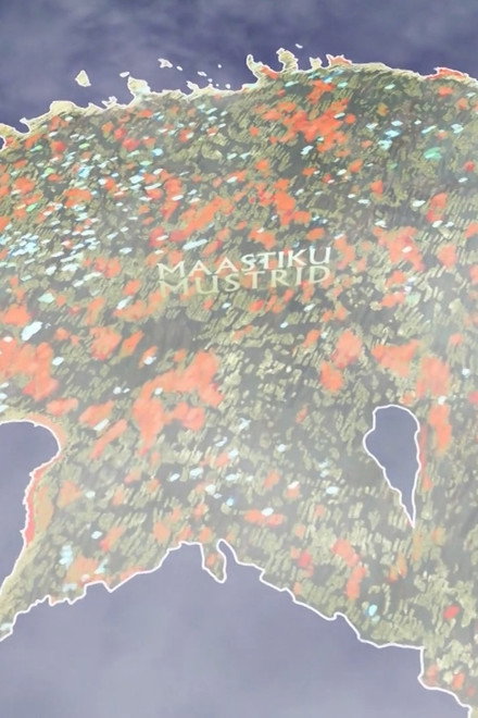 Maastiku mustrid