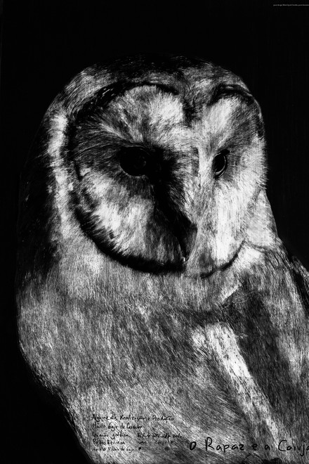 The Boy and the Owl