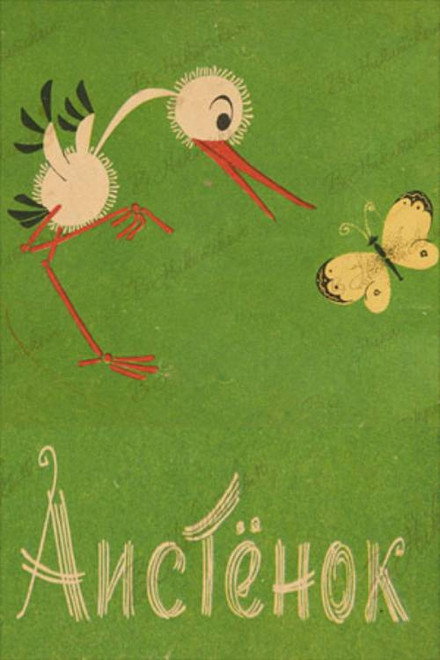 Little Stork