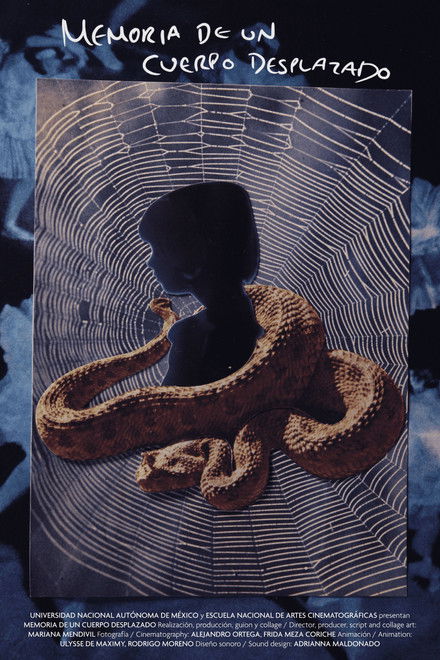 Memory of a Displaced Body