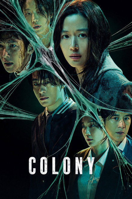 Colony