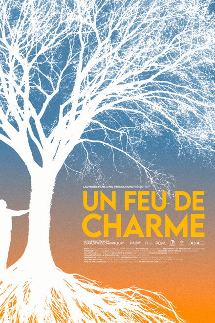 Un feu de charme