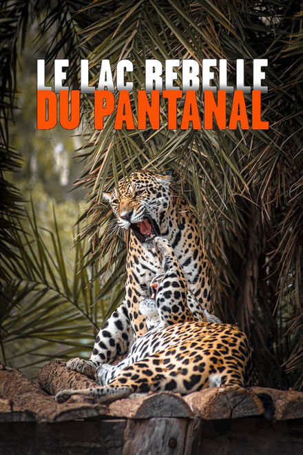 The Pantanal's Rebel Lake