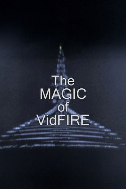 The Magic of VidFIRE