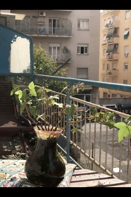 Dalla quarantena