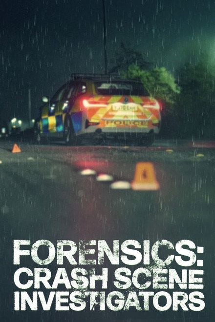 Forensics: Crash Scene Investigators