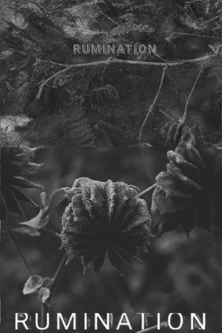 RUMINATION