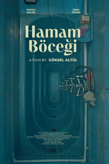Hamam Böceği
