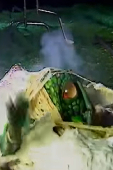 Videozone: The Making of Seedpeople