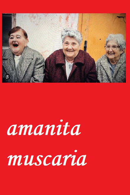 Amanita muscaria