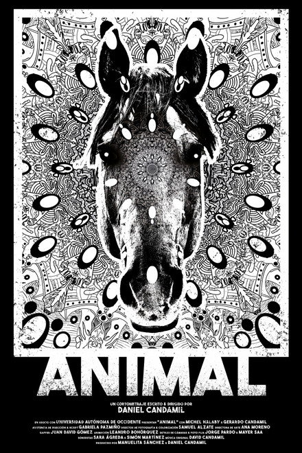 Animal