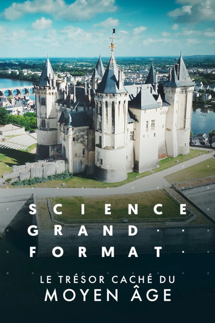 Le trésor caché du Moyen Age