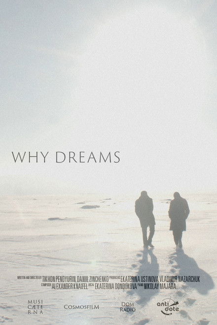 Why Dreams