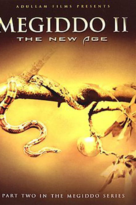 Megiddo 2: The New Age