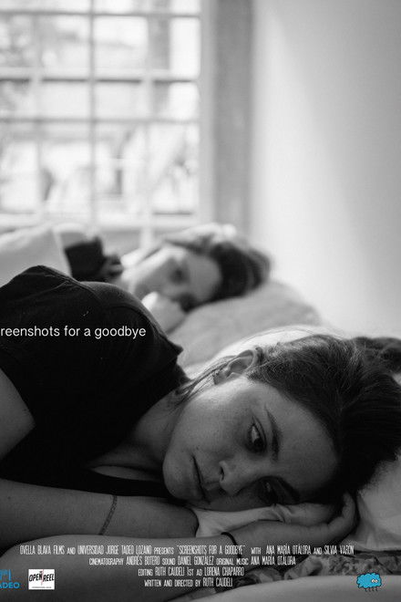 Screenshots for a Goodbye