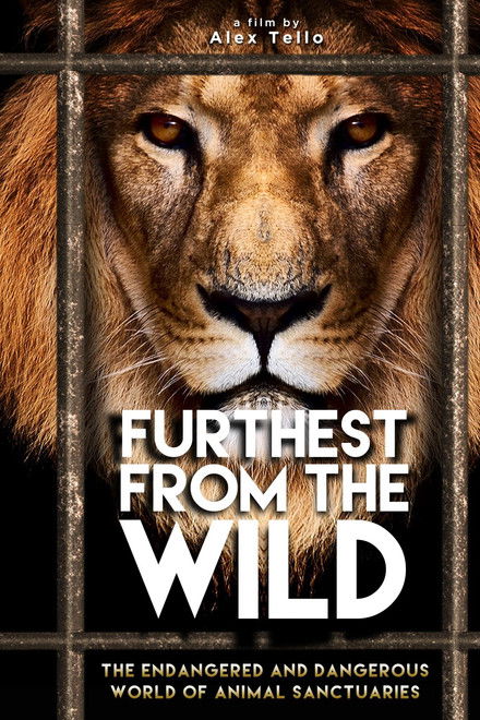 Furthest from the Wild