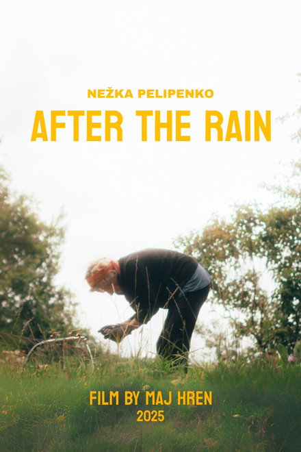 After The Rain