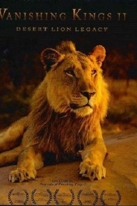 Desert Lions of the Namib - Departure and Return