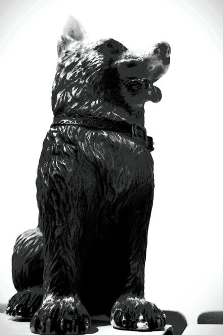 The Dog of Sarandi Alley