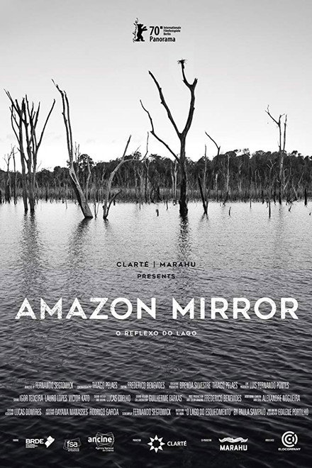 Amazon Mirror