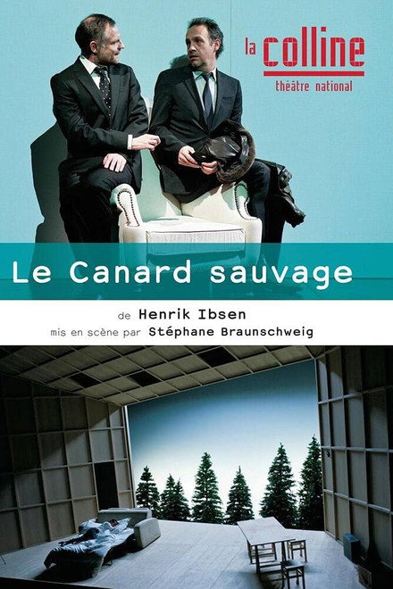 Le Canard sauvage