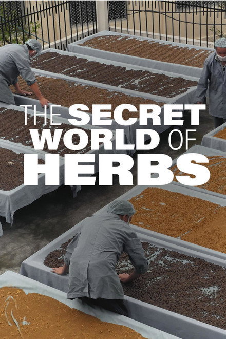 The Secret World of Herbs