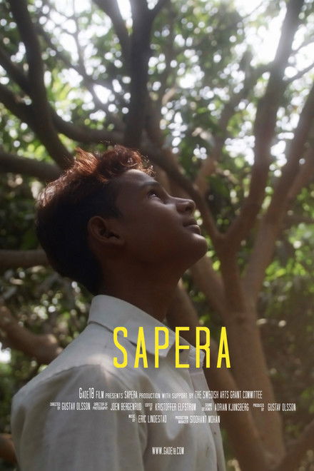 Sapera