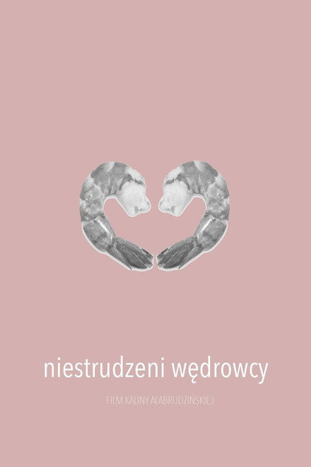 Niestrudzeni wędrowcy