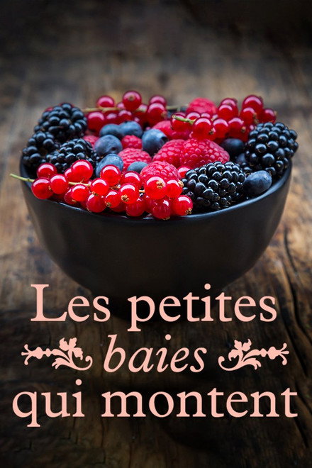 Les petites baies qui montent