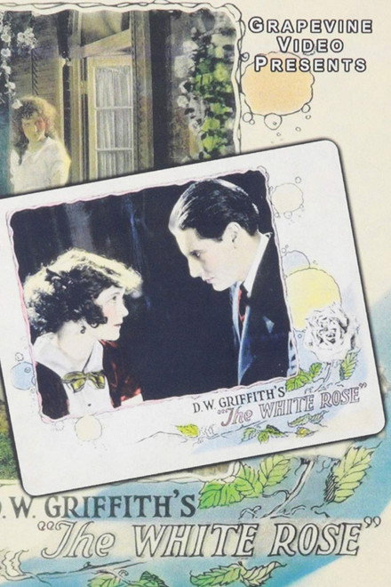 The White Rose