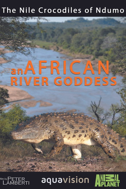 River Dragons of Ndumo
