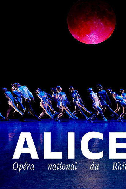 Alice