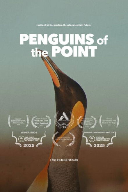 Penguins of the Point