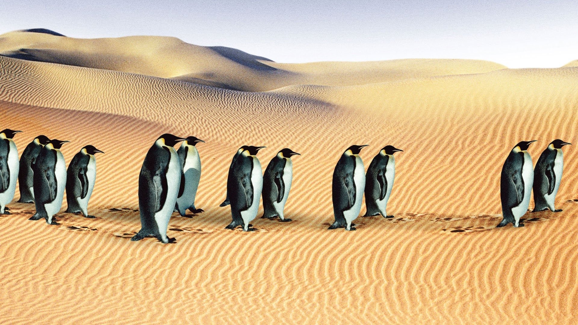 An Inconvenient Collection